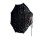 Софтбокс Amaran Octa Dome 120