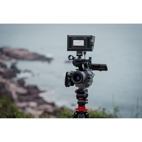 Монитор Viltrox DC-A1