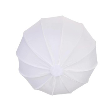 Набір постійного бі-колор світла для ТікТок відео на базі NiceFoto HC-1000SA та Globe 65cm