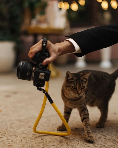 Ремень Native Comfort Yellow 120 cm